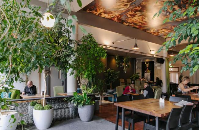 אינברקארגיל Tuatara Lodge מראה חיצוני תמונה